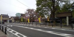 Hino・Questがご縁です。 １００本の黄色い幟がはためいています！！（本校書道部作成）