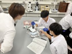【大学での実験授業】福井工業大学で実験を行いました。
