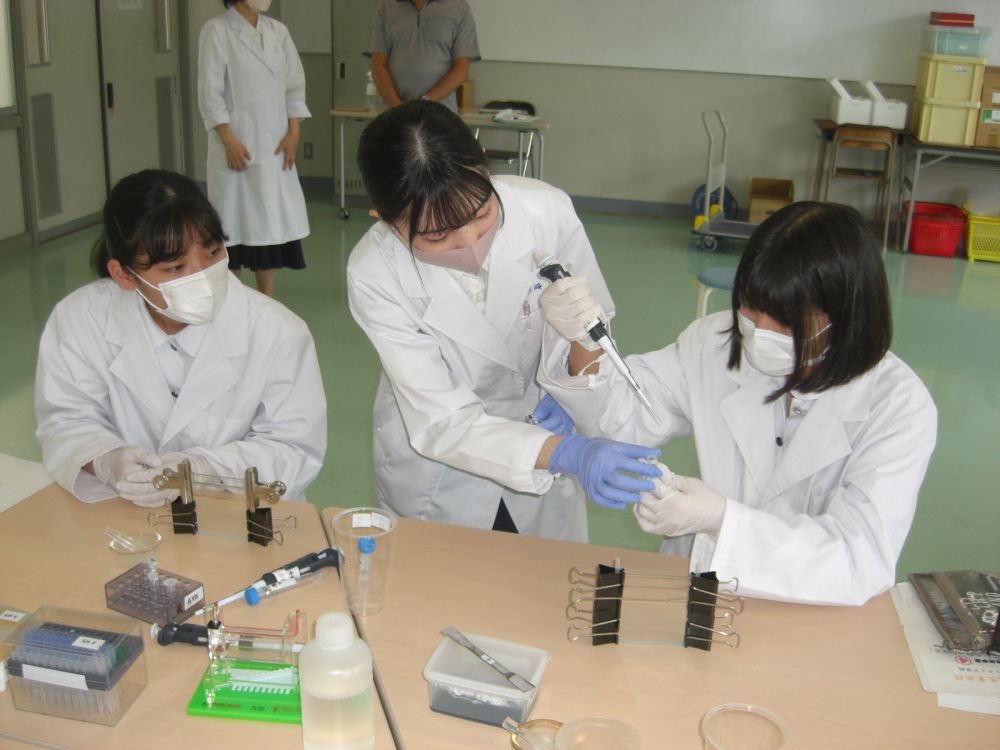 武生東高等学校　Hino・Quest（【2022年度1年生】産官学連携④サイエンス講座として，福井工業大学から教授を招いて，生物系・化学系の２講座で実験を行いました。）