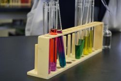 来年の理数探究に向けて